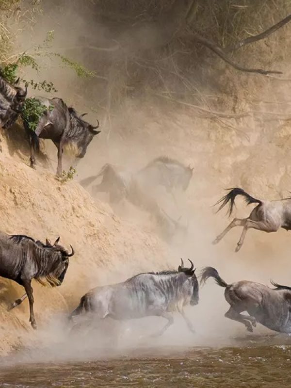 1712920170_41_WhatsApp_Image_2024-04-12_at_10.01.12_AM