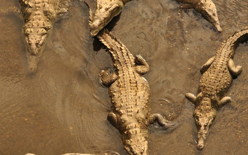 david-pardo-bernal-mmqAfyJ11Zc-unsplash