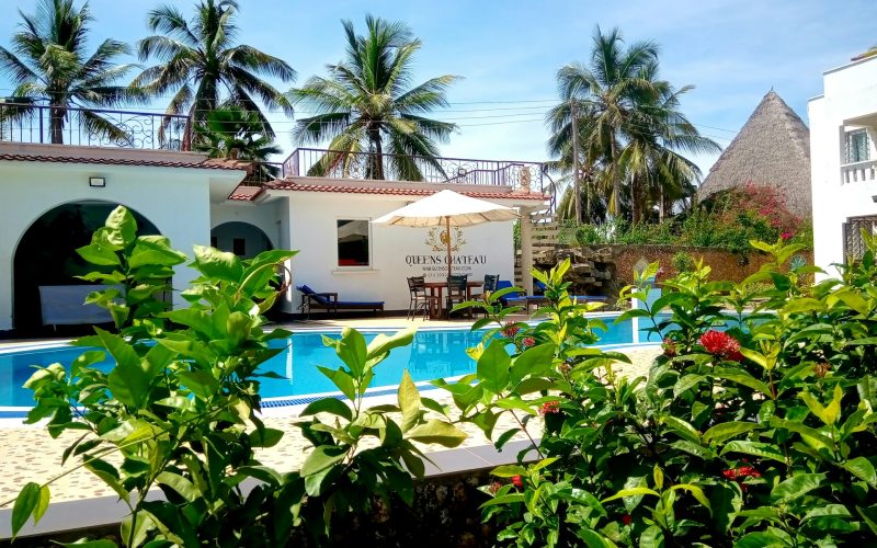 derricks-nature-book-DN3oR_MvJKg-unsplash