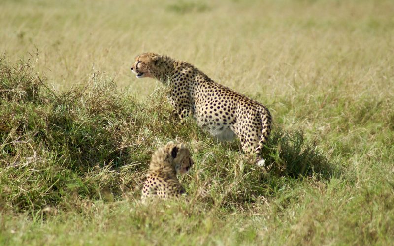 lisa-stockton-I57dAz-vPb4-unsplash