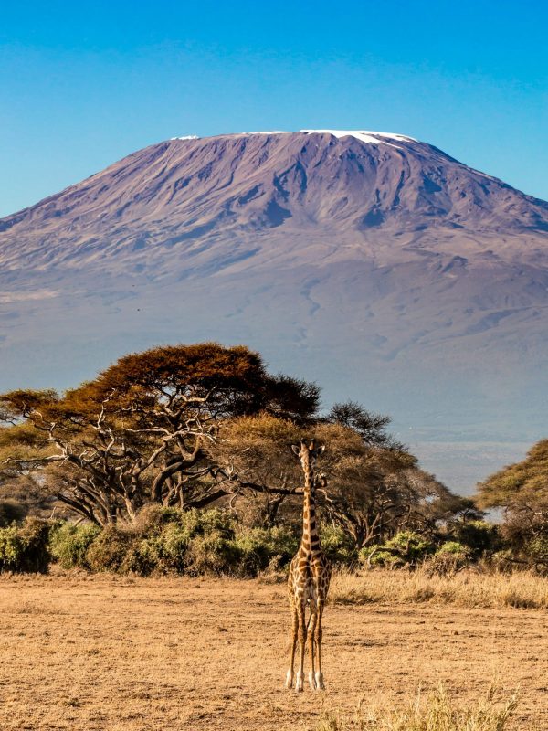 stephan-bechert-1ZfMAnL4ubE-unsplash